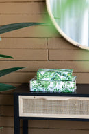 Botanical And Book Boxes (Set of 2) - White / Green by HouseOfZazla