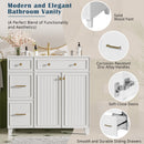 Bathroom Vanity With Sink, Soft Close Doors, Adjustable Shelves