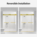 Frameless Double Sliding Soft-Close Shower Door, 3 / 8" (10Mm) Thick SGCC Tempered Glass Door, Matte by HouseOfZazla