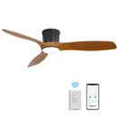 Smart Ceiling Fan With Remote Control, 3 Blades, Dimmable LED Light, Reversible DC Motor - Black by HouseOfZazla