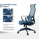 Ergonomic Colorful Office Chair