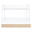 Contemporary Bunk Bed