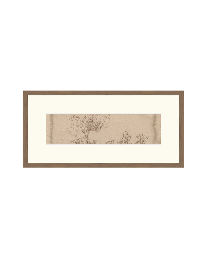 Traces of the Field IV