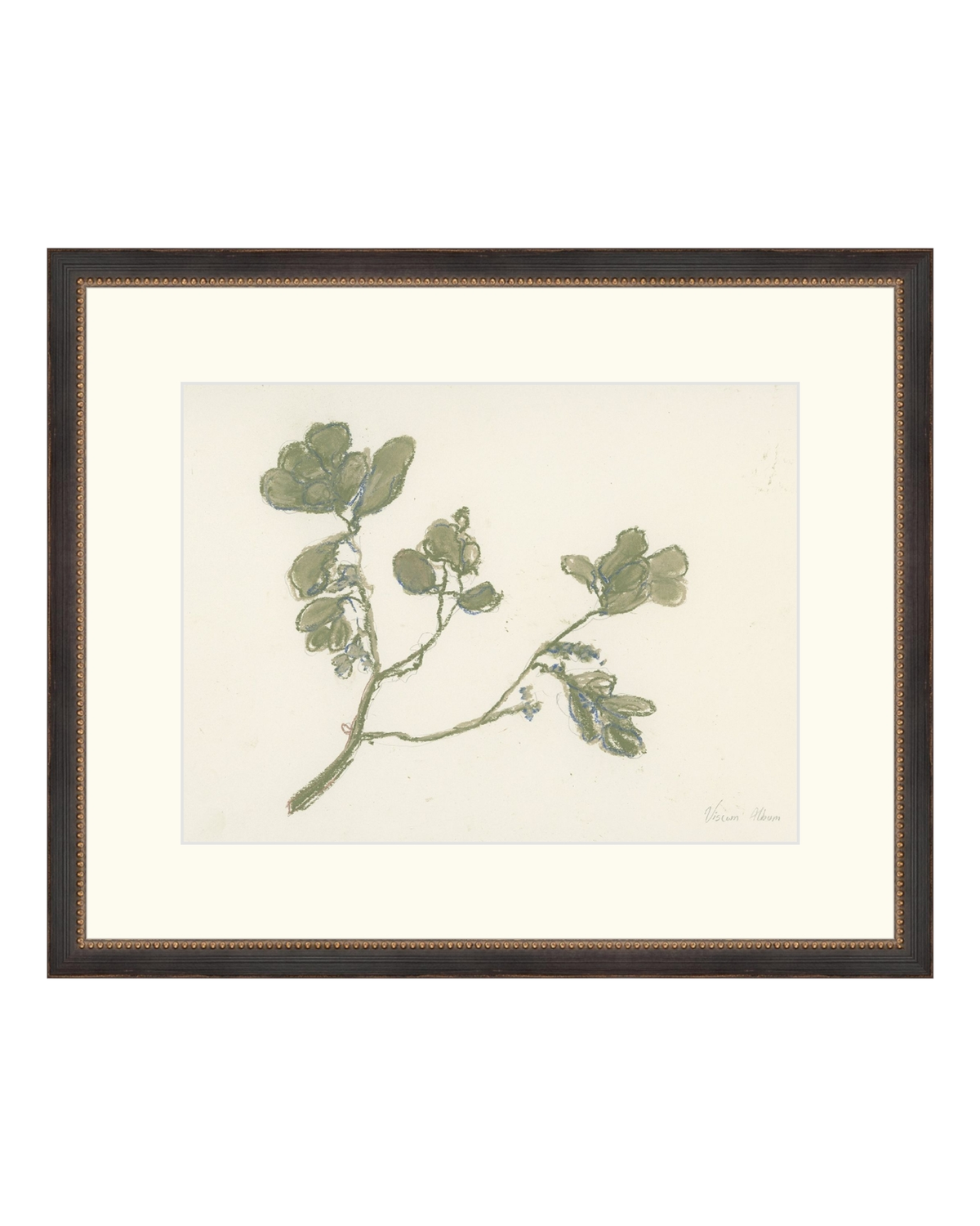 Pastel Mistletoe, photo 21 of 28