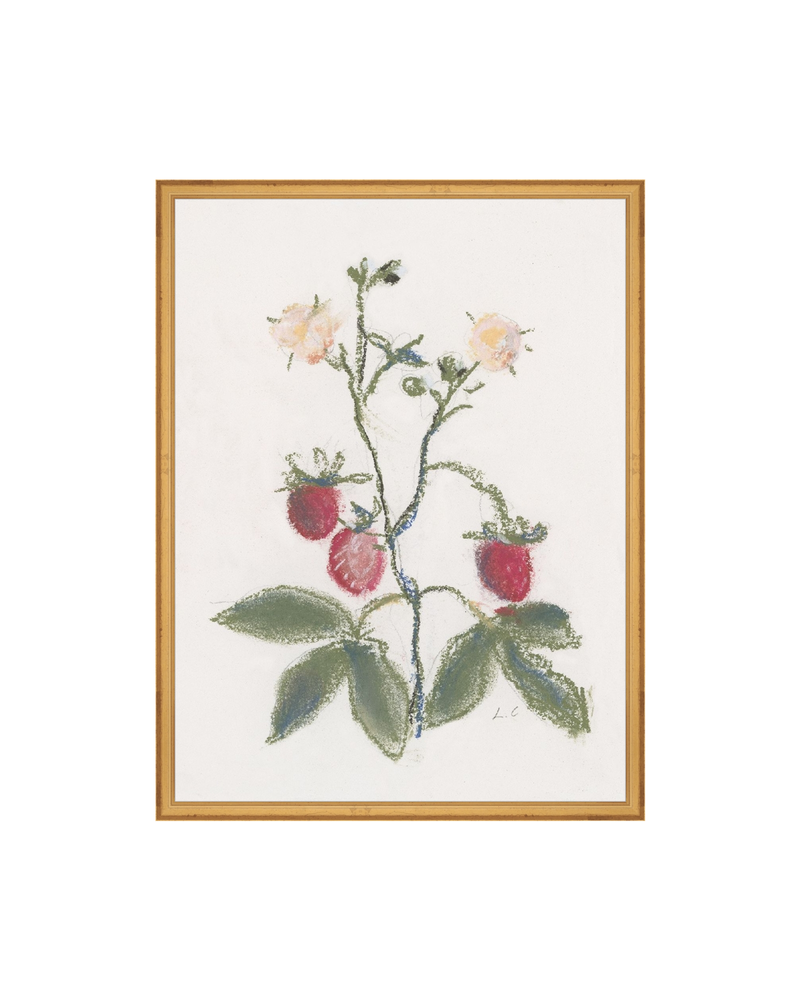 Strawberry Branch