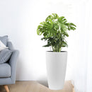Tall Planters Set With Water Level Monitor And Auto Watering