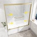 55"-60" W x 60" H Brushed Shower Door by HouseOfZazla