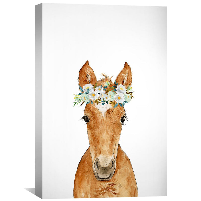 Baby Horse Canvas