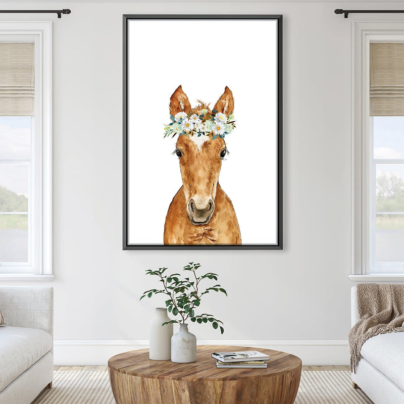 Baby Horse Canvas