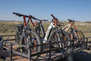 Bakcou Tie Down Straps by Bakcou