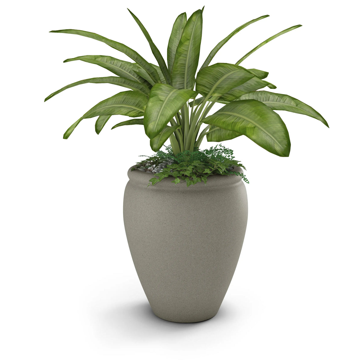 Bambino Planter, photo 14 of 37