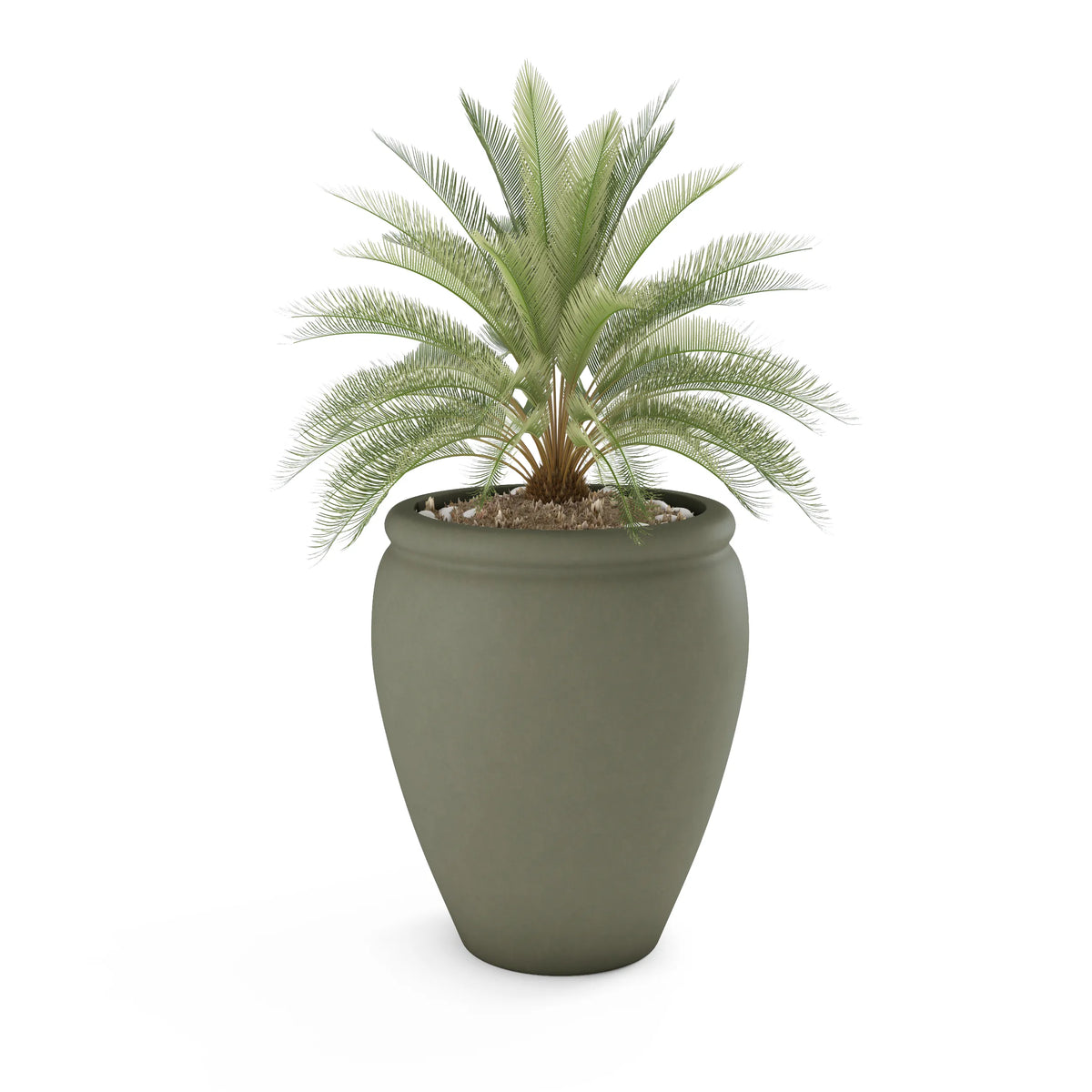 Bambino Planter, photo 22 of 37