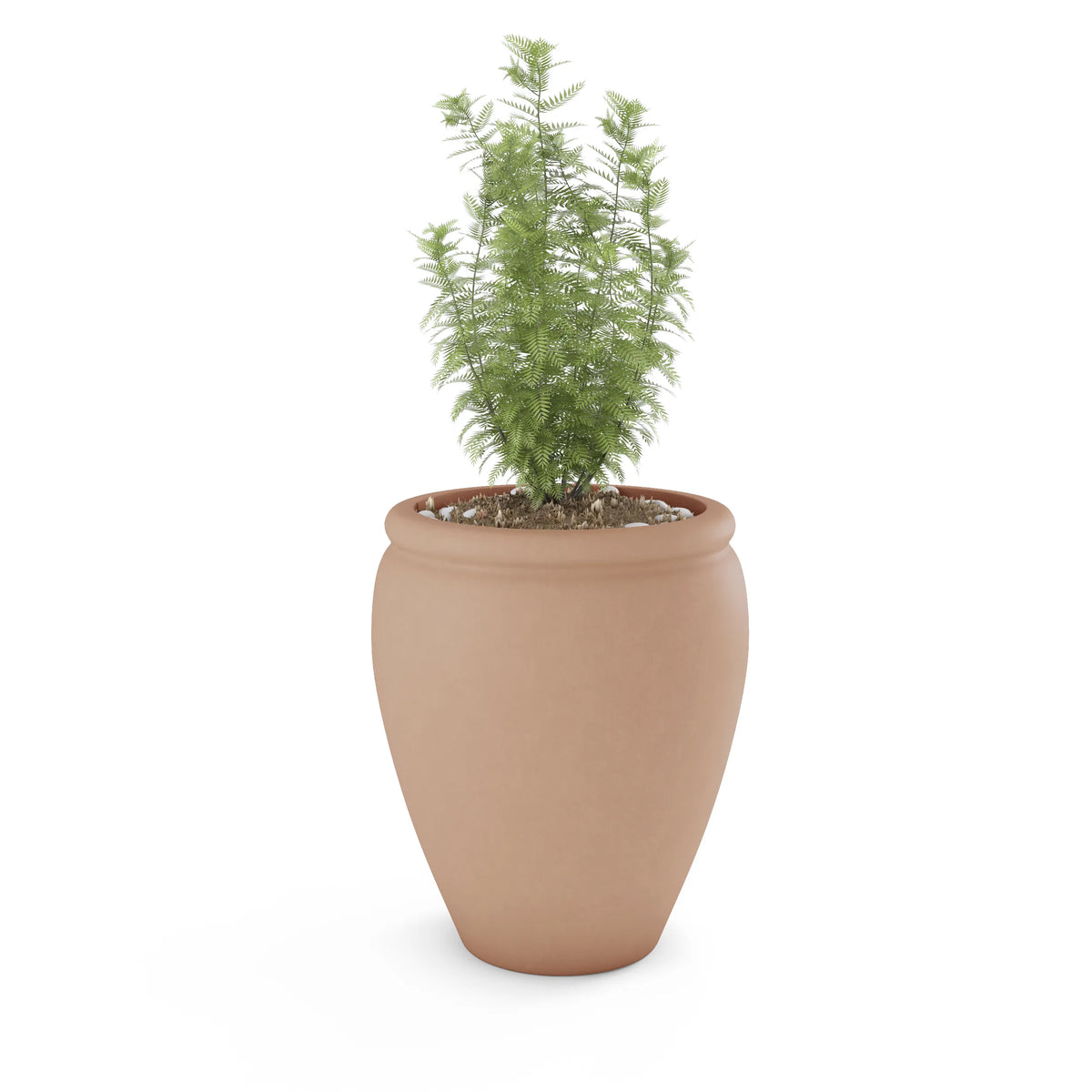 Bambino Planter, photo 26 of 37