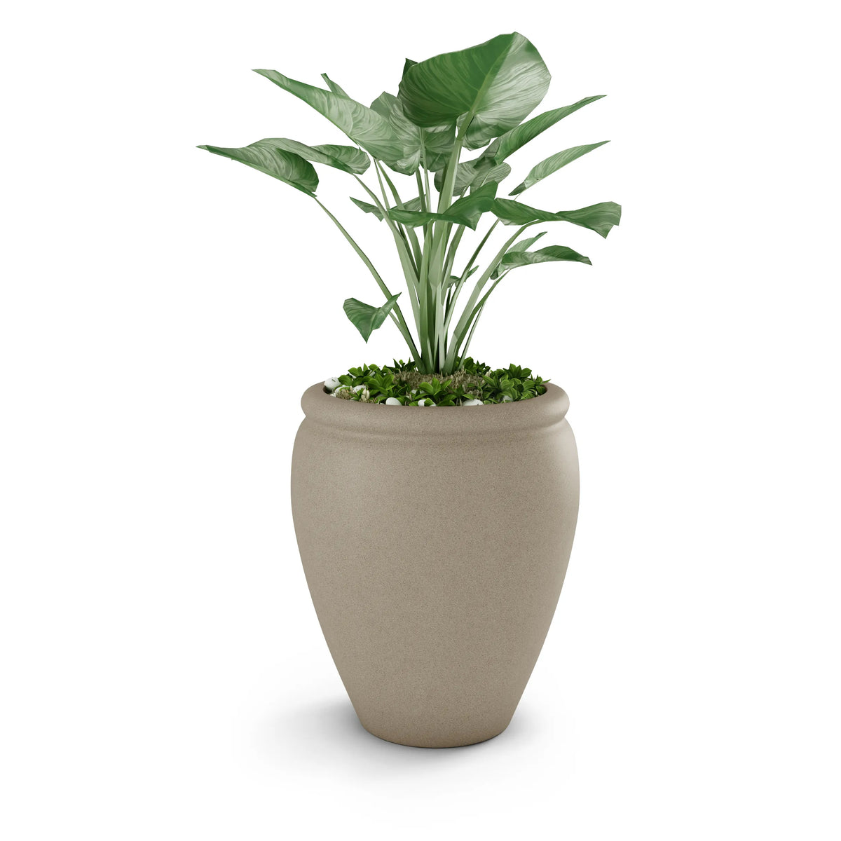 Bambino Planter, photo 6 of 37