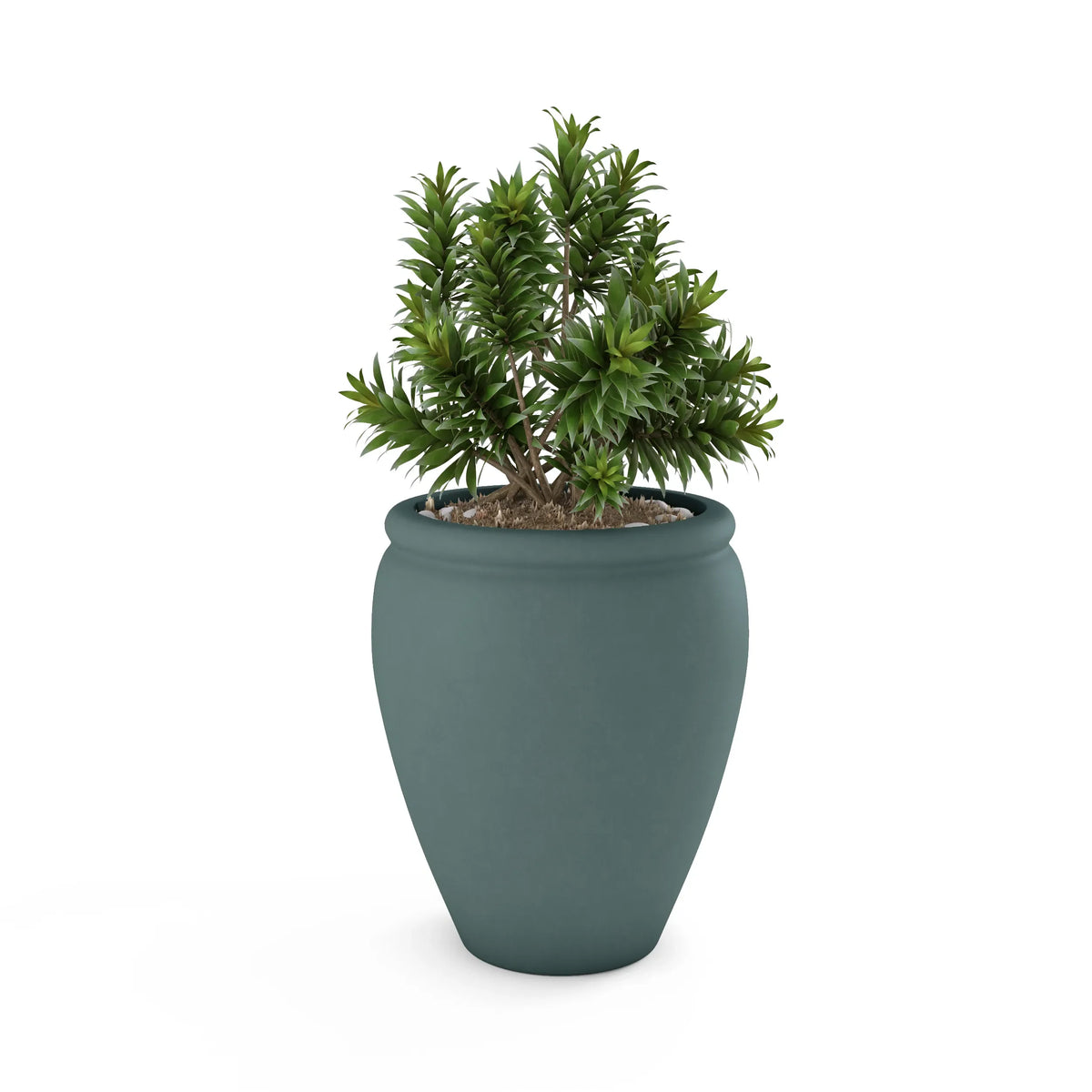 Bambino Planter, photo 30 of 37