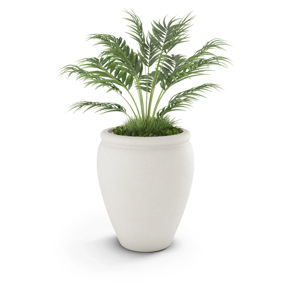 Bambino Planter, photo 10 of 37