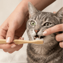 Bamboo Cat Toothbrush by Bamboo Switch