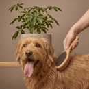 Bamboo Dog Brush for All Coats by Bamboo Switch