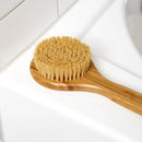 Bamboo Dry Brush | Sisal Bristles by Bamboo Switch