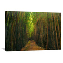 Bamboo Forest Canvas
