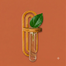 Propagation Planter | Wall Vase by Bamboo Switch
