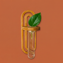Propagation Planter | Wall Vase