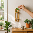 Propagation Planter | Wall Vase by Bamboo Switch