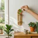 Propagation Planter | Wall Vase