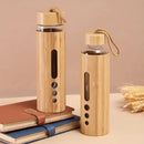 Bamboo shell glass water bottle kitchen sports drinkware with handle by Decorbites