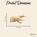 Bamboo Stag Beetle