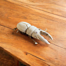 Bamboo Stag Beetle