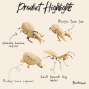 Bamboo Stag Beetle