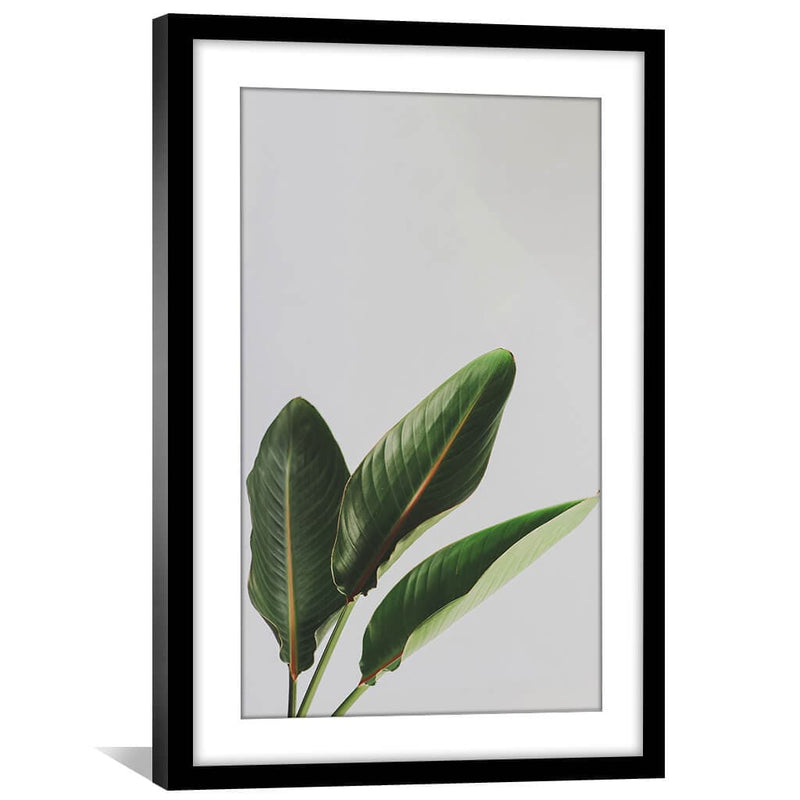 Banana Tree Print