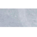 Bardiglio Light Honed Marble Tiles 12x24