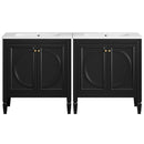 Bathroom Vanity With Sink With 2 Doors And Adjustable Shelf