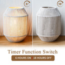 Set of 2 Woven Lamp shade Table Lamps