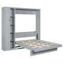Murphy Wall Bed With Shelves, Wardrobe And LED Lights by HouseOfZazla