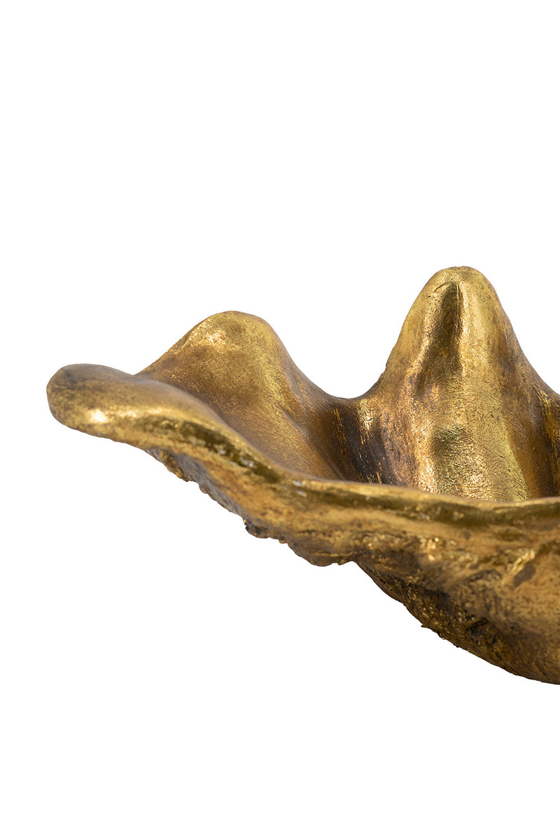 19.7x10.6x5.5" Decorative Shell Bowl, photo 5 of 9