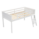 Low Loft Bed With Adjustable Ladder