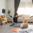 Ultrasonic Anti-barking Device for Indoor/Outdoor Use by LJGDeals