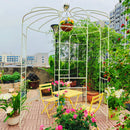 Metal Garden Arch