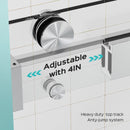 Frameless Double Sliding Soft-Close Shower Door, 3 / 8" (10Mm) Thick SGCC Tempered Glass Door, Matte by HouseOfZazla