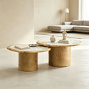 Irregular Coffee Table Set - 2pcs Burl Wood Veneer