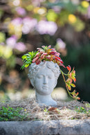 Greek Style Cement Head Planter Indoor Outdoor Home Garden Decor - Gray by HouseOfZazla
