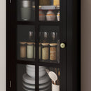 Black Tall Storage Cabinet with Glass Door & 2 Drawers