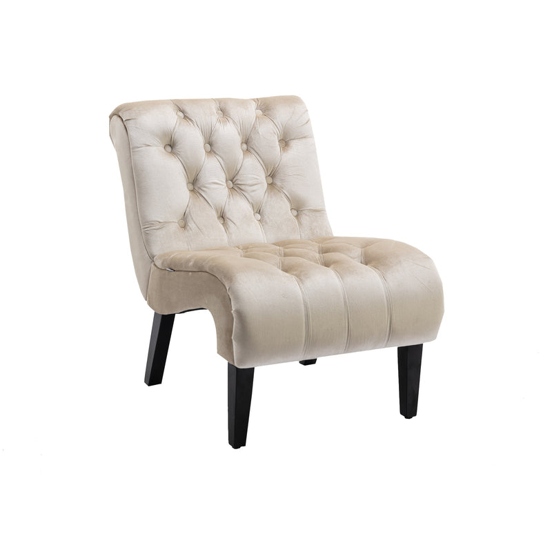 Accent Living Room Chair / Leisure Chair