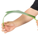 Bird of Paradise Artificial Plant - 6 Ft Tall Faux Banana Leaf Tree