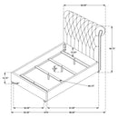 Devon 57-inch Upholstered Queen Panel Bed Beige