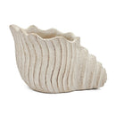 11.5x7x7' Sand and Cement Nautilus Shell Planter with Textured Beige Finish by HouseOfZazla