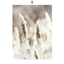 Coastal beige grass canvas wall art bedroom decor